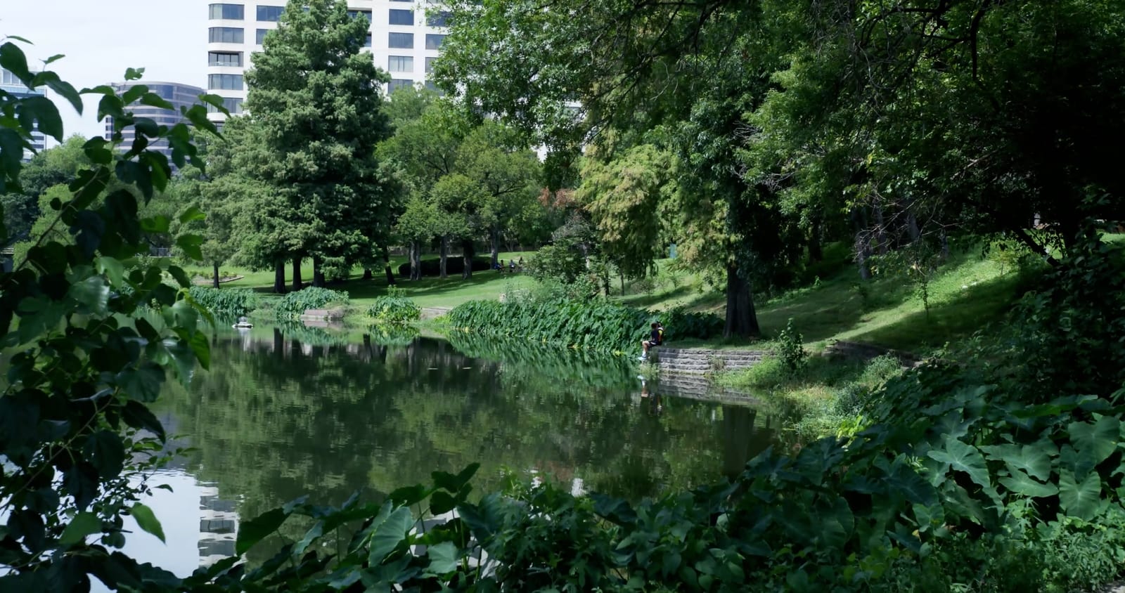 Production Soup Turtle Creek Park Dallas, Texas Videos